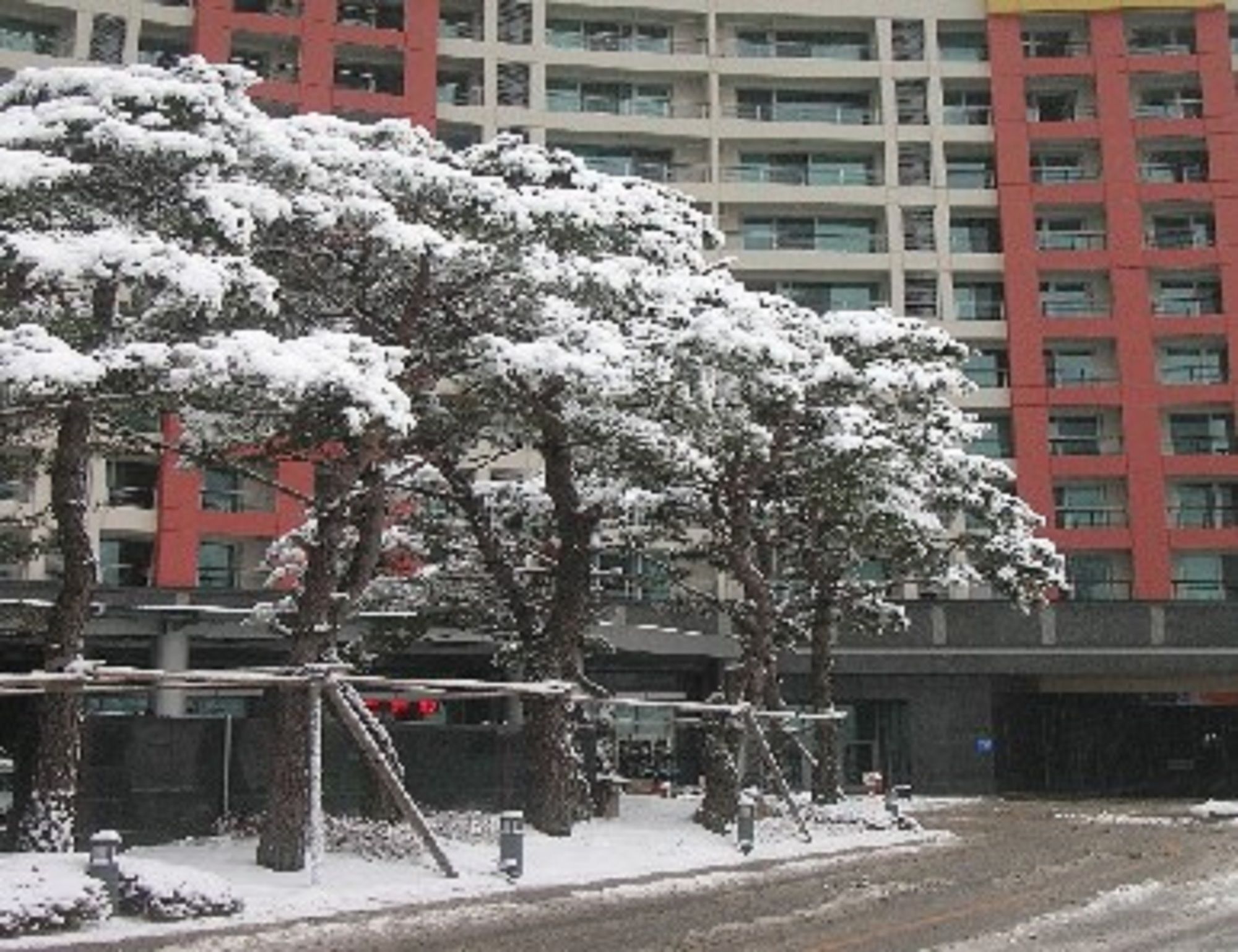 Jeongseon Mayhills Resort Exteriér fotografie